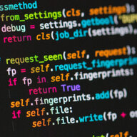 Developer