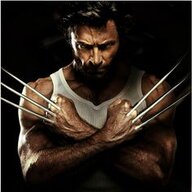 Wolverine